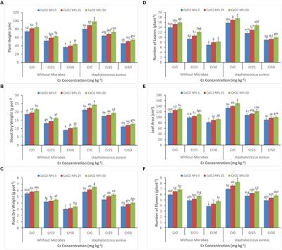 Application of Cerium Dioxide Nanoparticles and Chromium-Resistant Bacteria Reduced Chromium Toxicity in Sunflower Plants